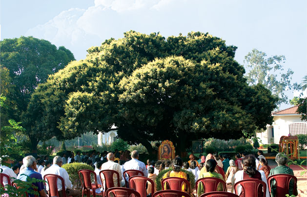 Yogoda Ranchi Litchi Vedi Meditating