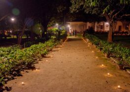 YSS Ranchi Ashram Diwali 2024 - Walkway lit with lamps