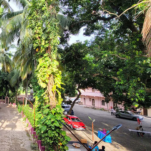 YSS Rajahmundry Retreat Facility – Pathways for taking Silent Walks Inside the Retreat Premises