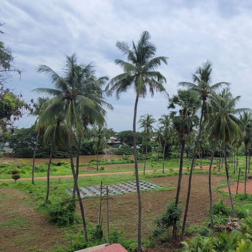 YSS Rajahmundry Retreat Facility – Serene Peaceful Surroundings Amidst Nature