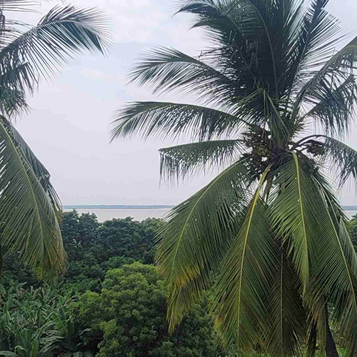 YSS Rajahmundry Retreat Facility – a Beautiful View from the Terrace