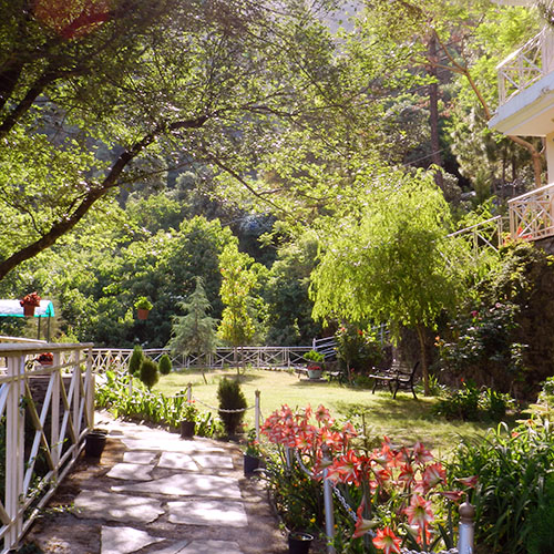 Shimla Retreat Facilities 1