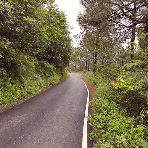 Shimla Retreat Scenic Surroundings 3